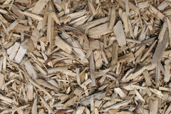 biomass boilers Roaches