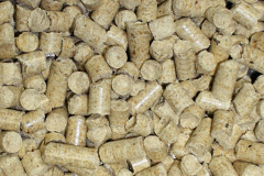 Roaches biomass boiler costs