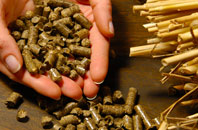 free Roaches biomass boiler quotes